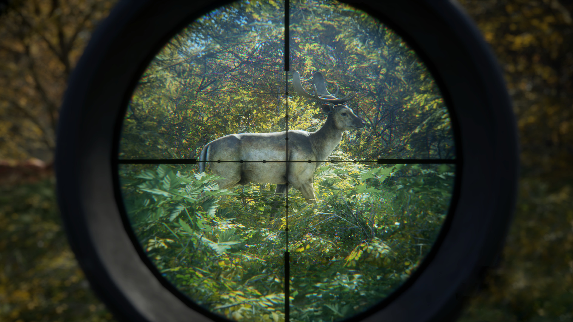 A deer viewed through a rifle scope in theHunter: Call of the Wild