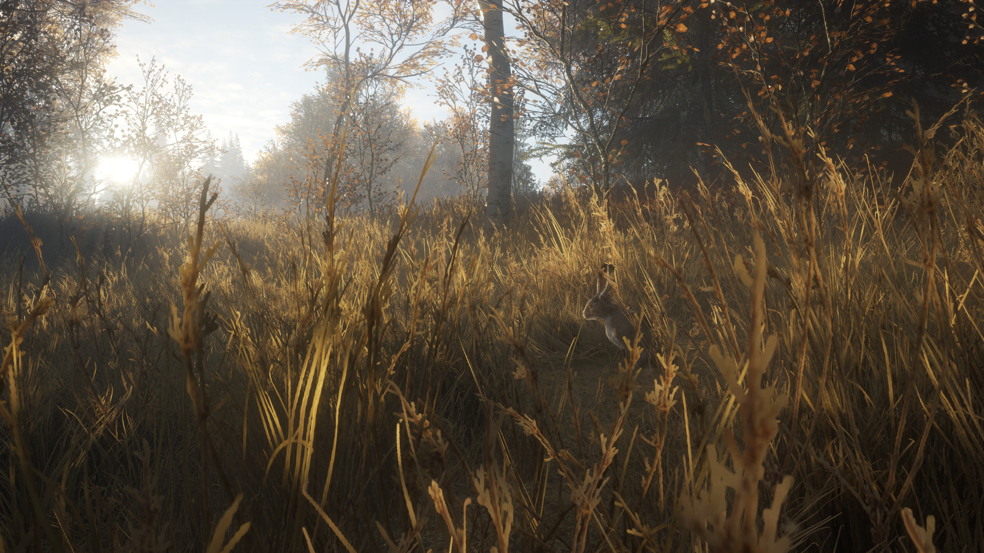 A young deer moving through tall grass in theHunter: Call of the Wild