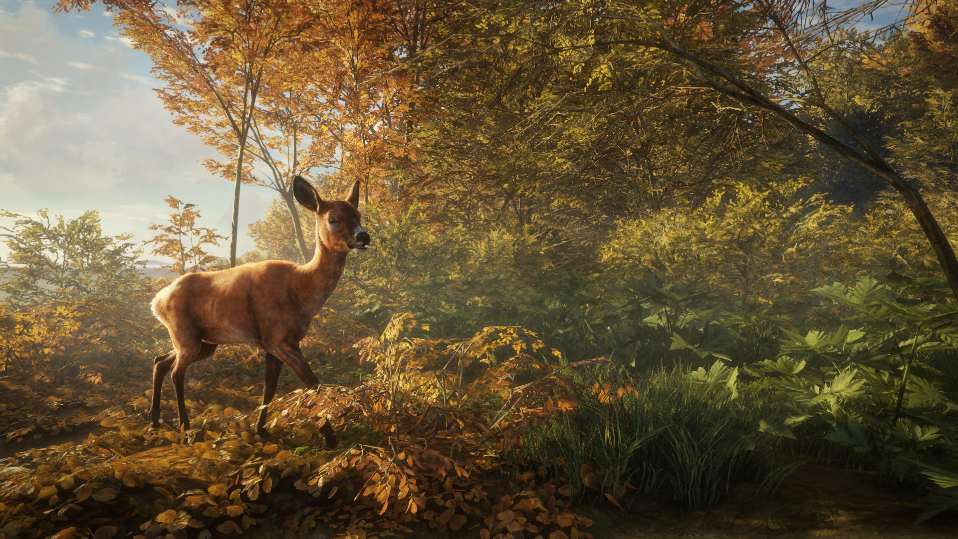 Deer standing in a sunlit autumn forest in theHunter: Call of the Wild